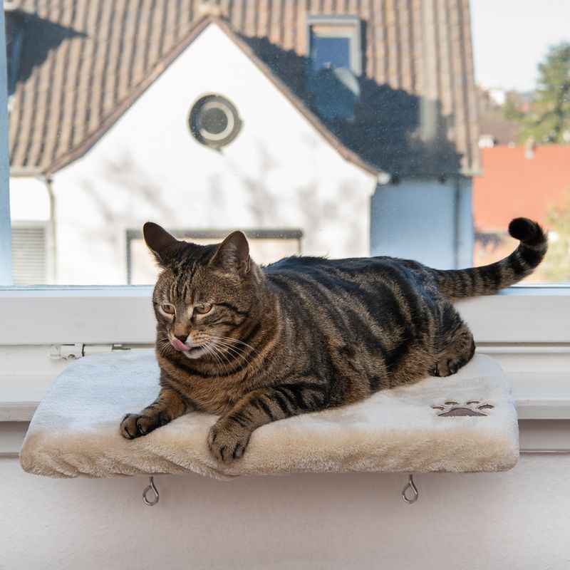 Pluschi Windowsill Seat 50 x 35 x 5cm (L x W x H)