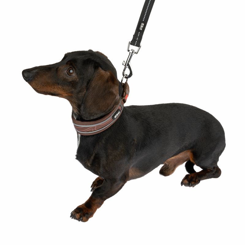 TIAKI Collar Soft & Safe - Brown Size M: 45 - 55 cm neck circumference, W 40 mm