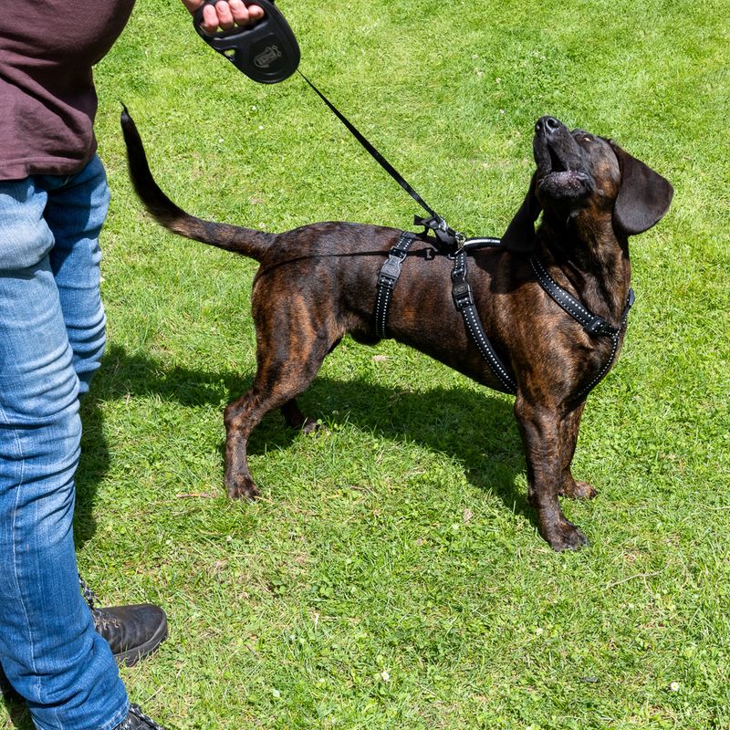 TIAKI Reflective Safety Harness Size S: 31 - 50cm Chest Circumference