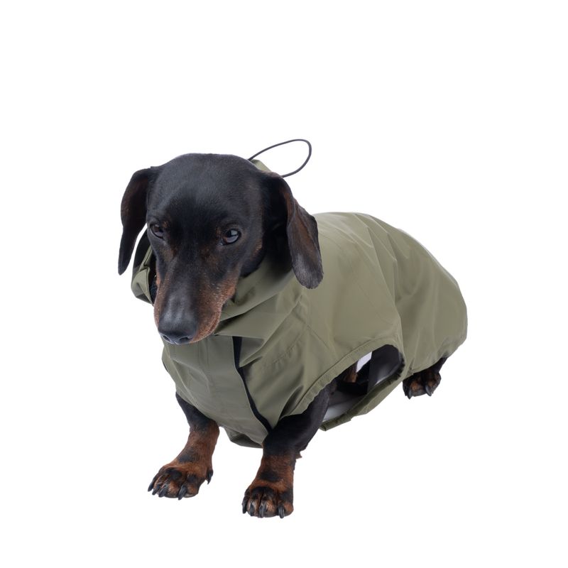 TIAKI Pet & Parent Matching Raincoat Set Raincoat Set for Owners: S/M