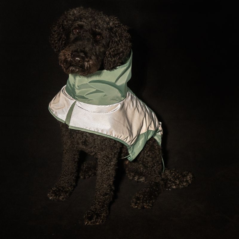 Nomad Tales Spirit Reflective Dog Raincoat - Mint approx. 35cm (Back Length)