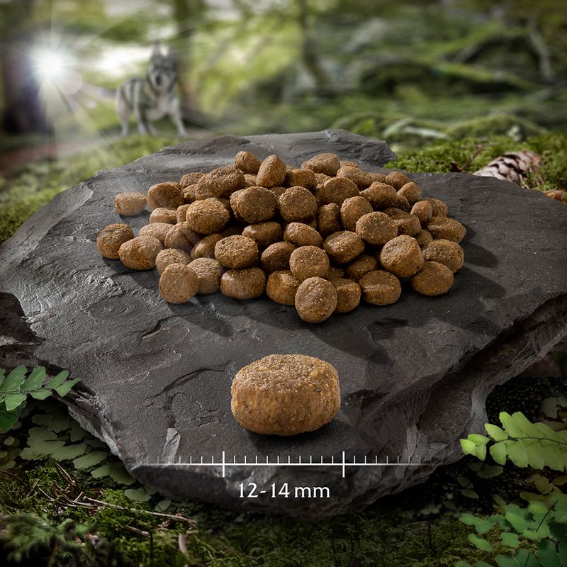 Wolf of Wilderness Junior 'Wild Hills' - Duck 400g