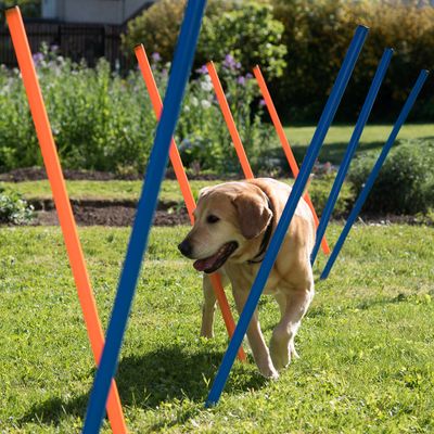 Agility Fun & Sport Slalom Set 12-pack