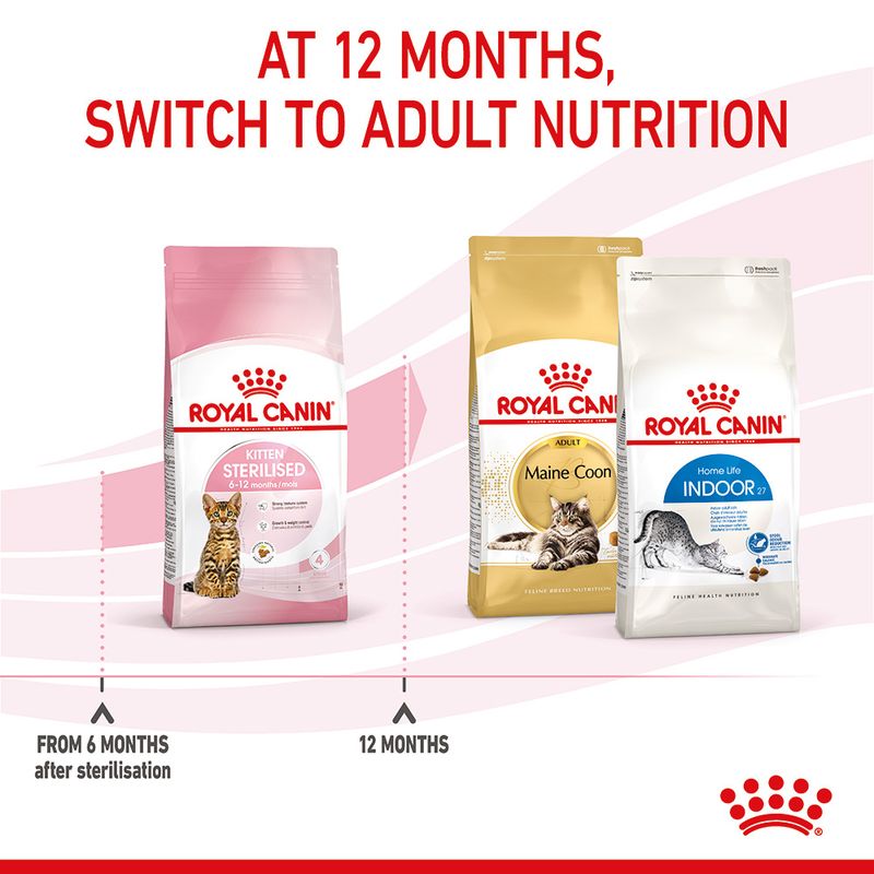 Royal Canin Kitten Sterilised 2kg