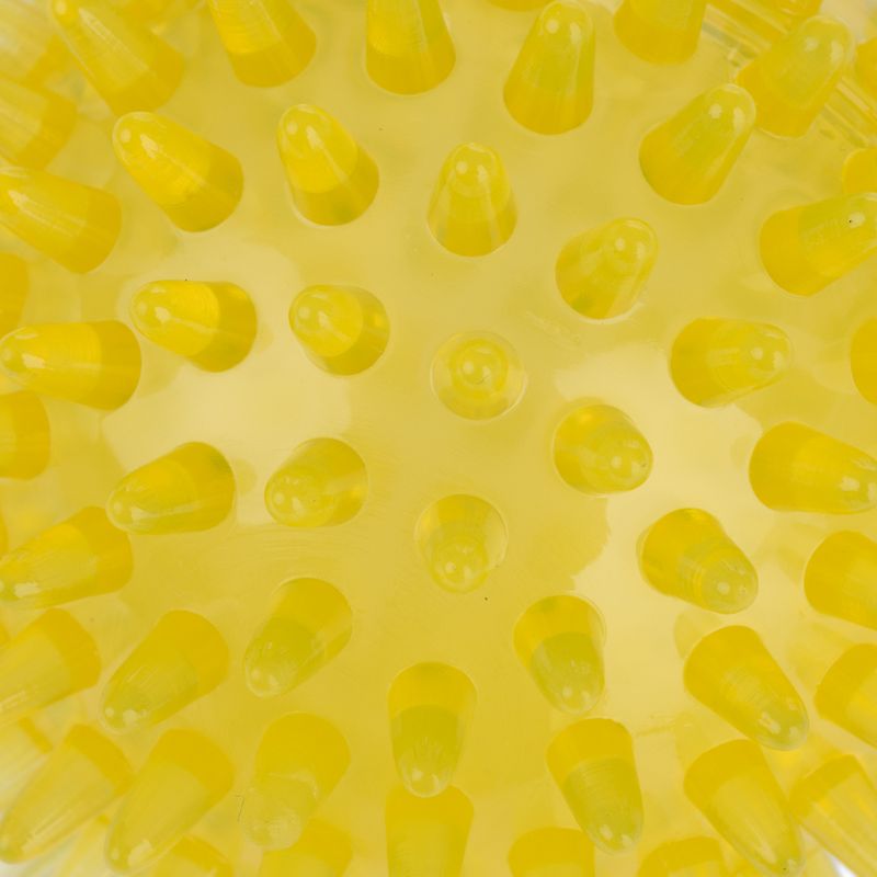 zooplus Basics Spiky Ball Set Set of 3