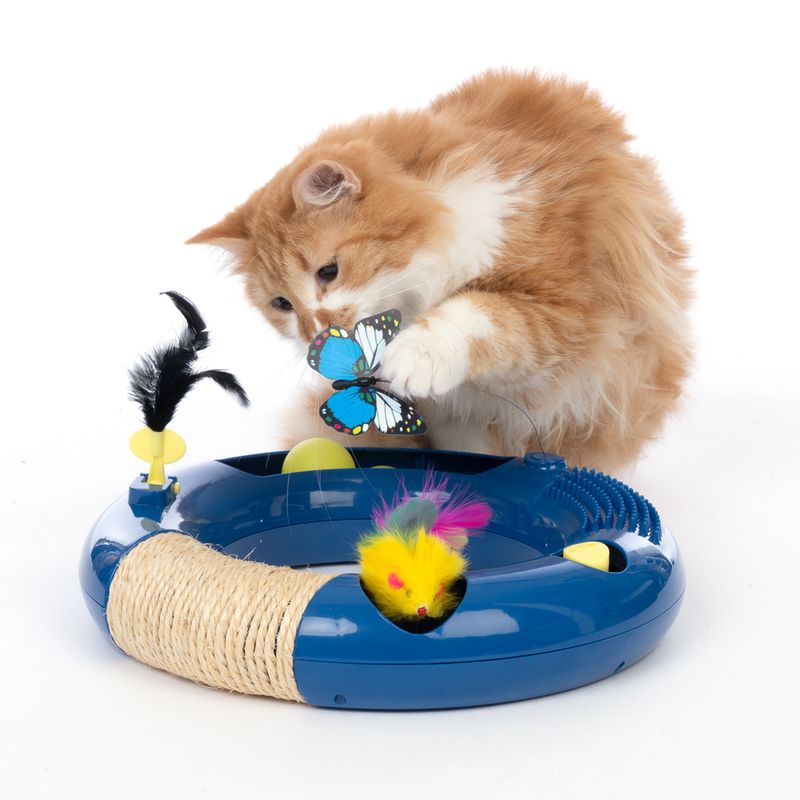 TIAKI Interactive Circuit Cat Toy 1 Toy