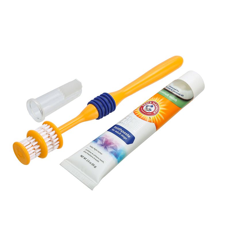 Arm & Hammer Dental Care Set with Toothbrush & Toothpaste 3-Piece Set