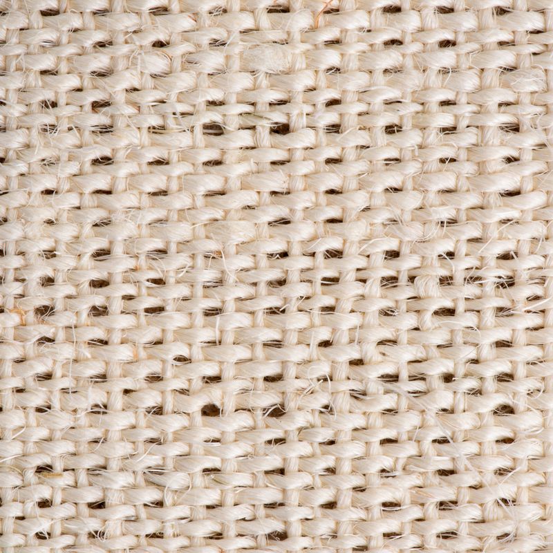 Finny Cat Scratching Post Blue/pink