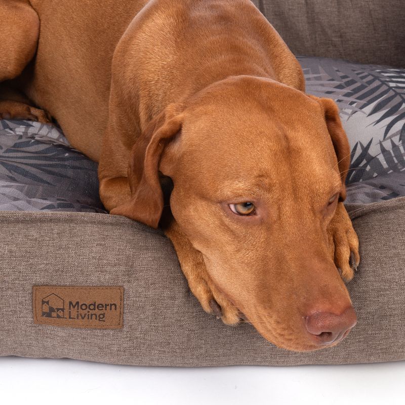 Modern Living Ibiza Dog Bed 80 x 60 x 23cm (L x W x H)