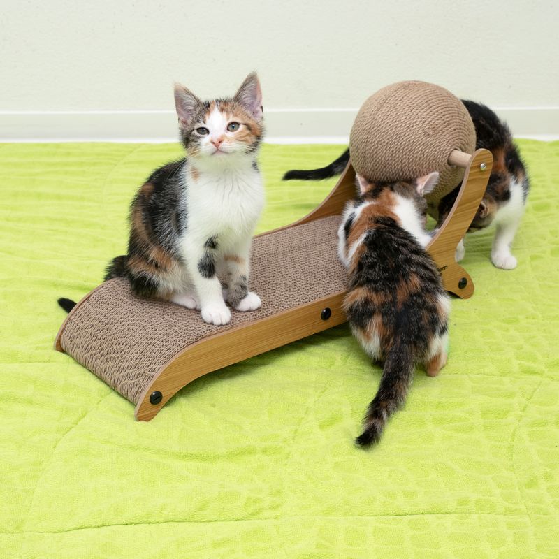 Modern Living Valencia Cat Scratching Furniture 50 x 20 x 26 cm (L x W x H)