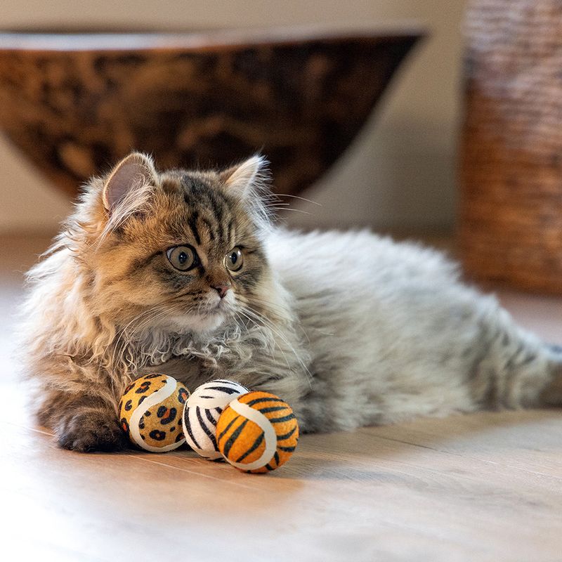 Beeztees Cat Toy Jungle Balls 3 x 4.5cm (W)