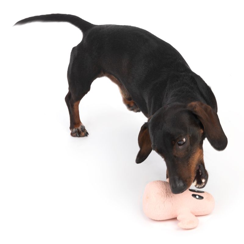 TIAKI Latex Ghost Dog Toy 1 Toy