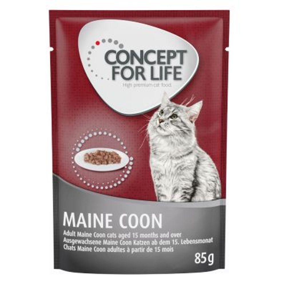 Concept for Life Maine Coon Adult - in Ragout 12 x 85g