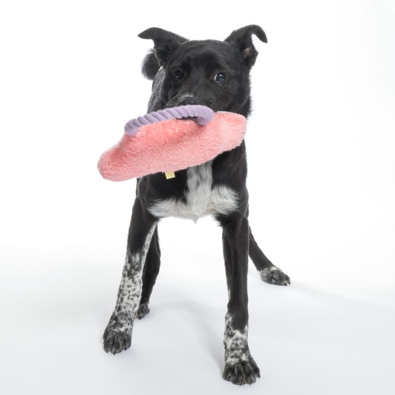 TIAKI Cloud Plush Toy with Rope 1 Toy