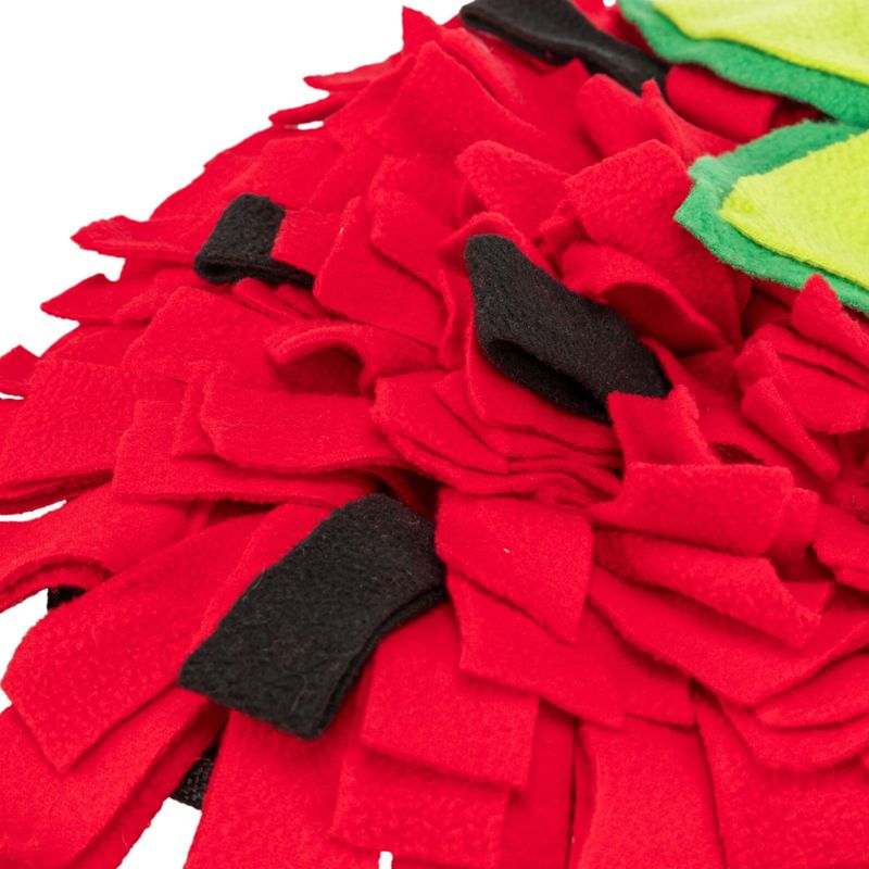 Trixie Strawberry Sniffer Rug 40 x 33cm (L x W)