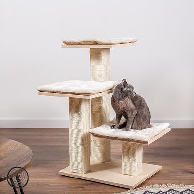 Natural Paradise Cat Tree Orchid S cream