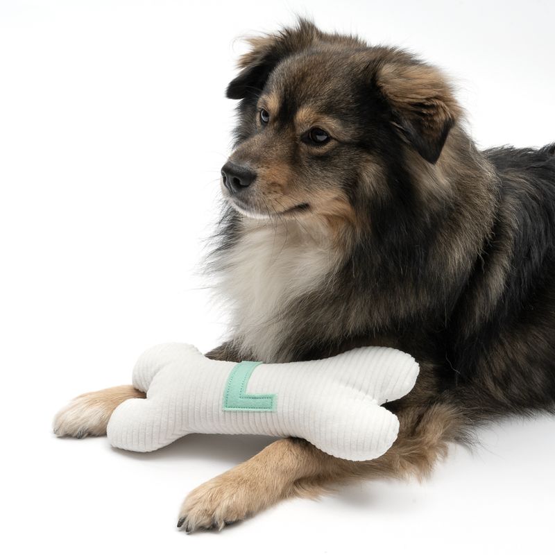 TIAKI Plush Bone with L Initial 26 x 12 x 5.5cm (L x W x H)