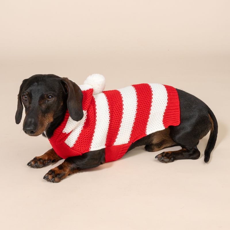 TIAKI Red Striped Jumper for Dogs Size M: approx. 30.5cm Back Length