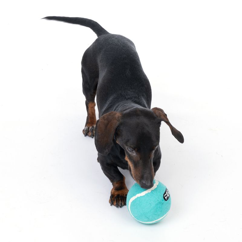 TIAKI medium-sized tennis ball approx. Ø 10 cm