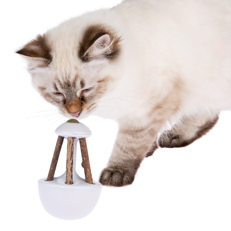 Rocky Cat Toy with Catnip 1 Toy