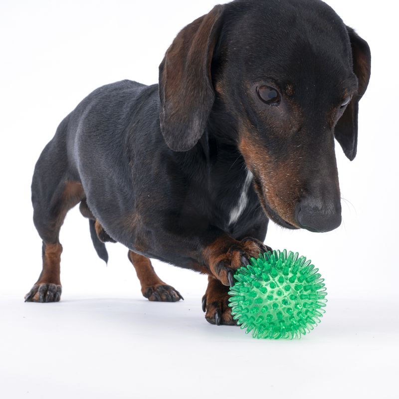 zooplus Basics Spiky Ball Set Set of 3