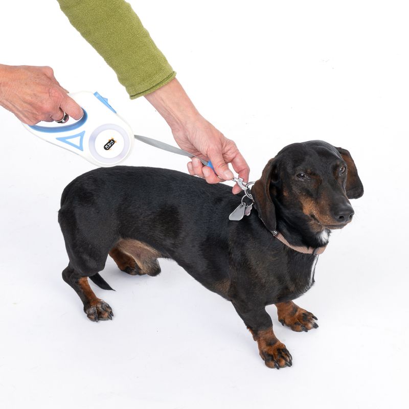 TIAKI Dragonfly Retractable Lead with Light - 3m For Dogs up to 15kg (approx. 3m)