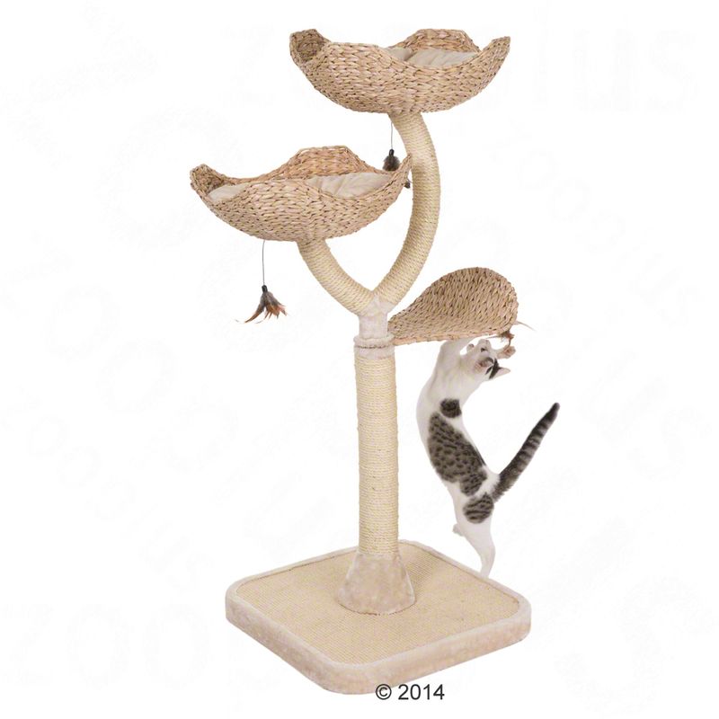 Flower Cat Tree Cream