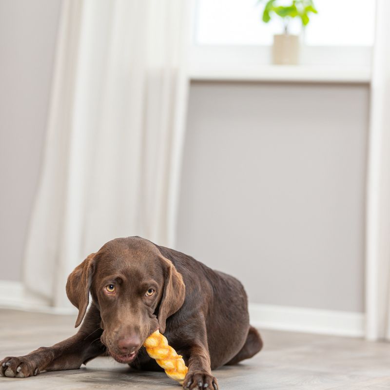 Trixie Collagen Braid with Chicken 13cm (65g)