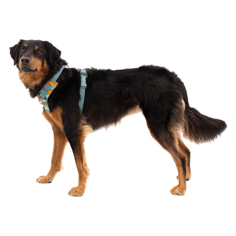 Ruffwear Front Range Dog Harness - Spring Mountains Size S: 56 - 69cm chest circumference