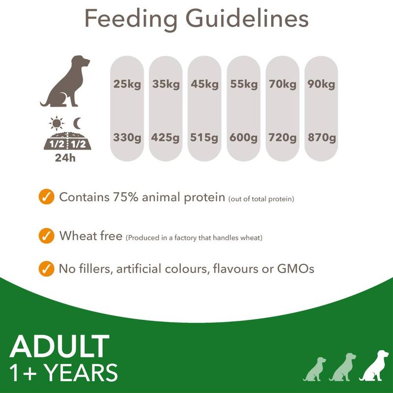 IAMS Advanced Nutrition Adult Large Dog - Lamb 12kg