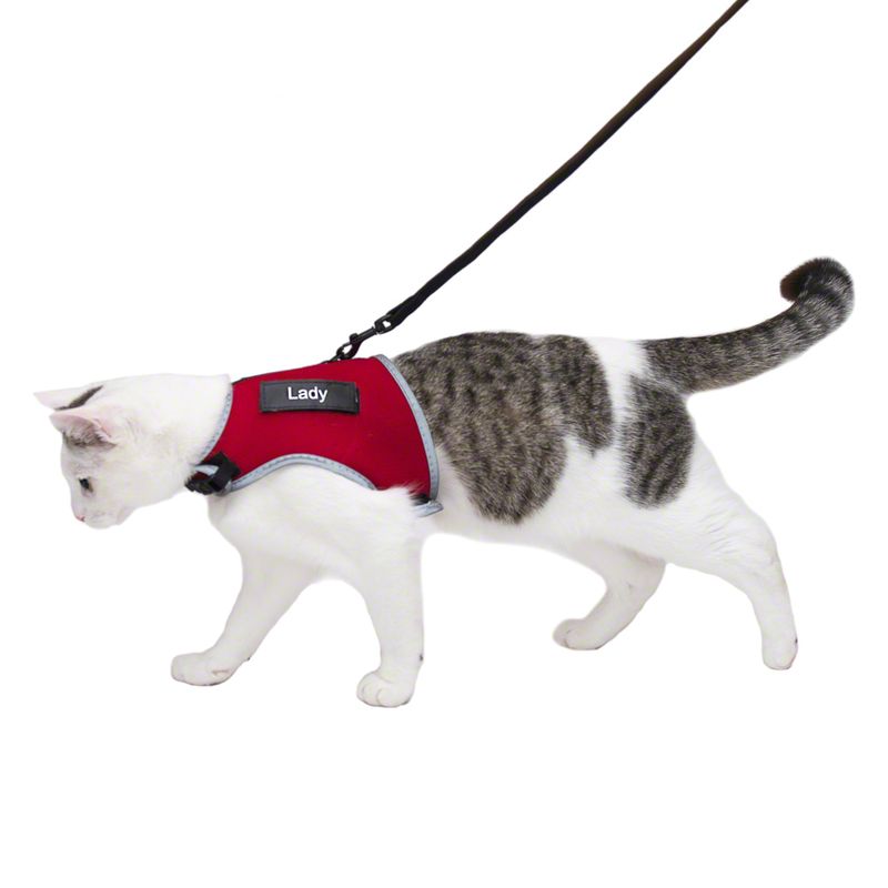 Trixie XCat Harness with Lead and Exclusive Stickers Black