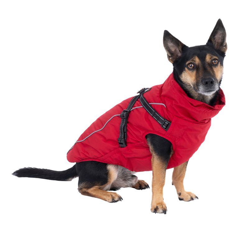 TIAKI Arkon Dog Coat with Harness - Red approx. 35cm (Back Length)