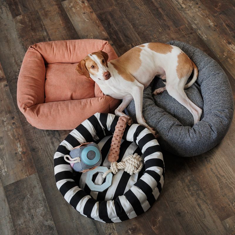 Modern Living Tarifa Dog Toy 4 x 24.5cm (diameter x L)