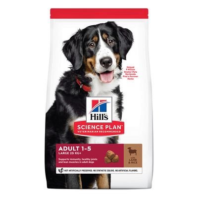 Hill's Science Plan Adult 1-5 Large Breed with Lamb & Rice 14kg