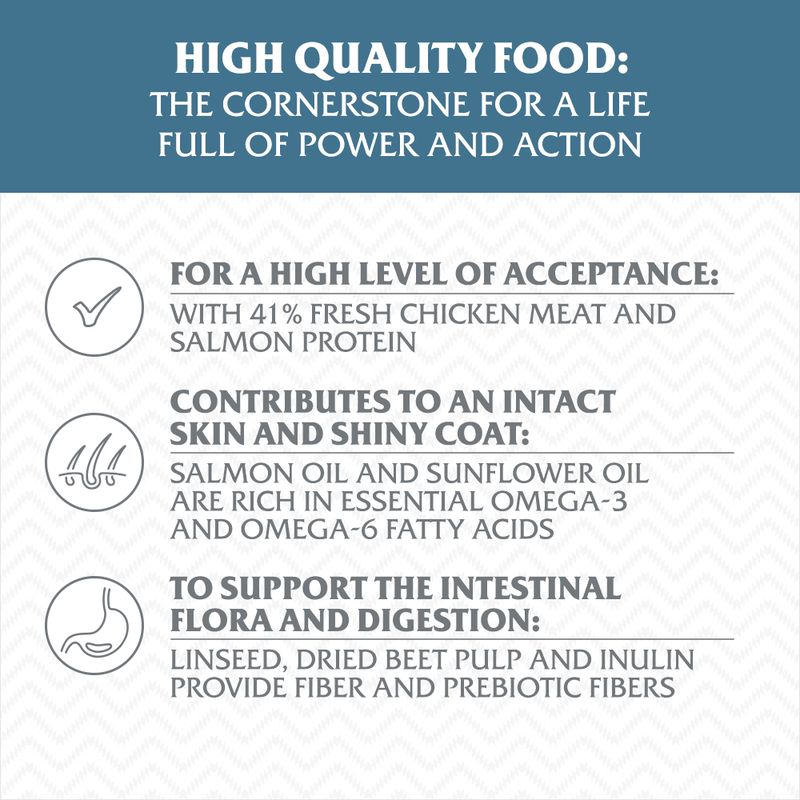 Wolf of Wilderness Adult \