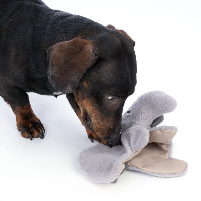 Modern Living Chobe Elephant Plush Dog Toy approx. 25 x 15 x 6 cm (L x W x H)