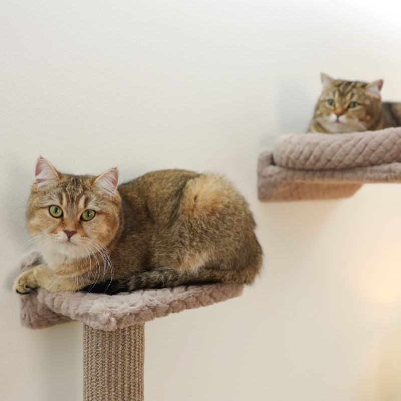 Kerbl Pet Climbing Wall Monte Alpi for Cats Set of 4