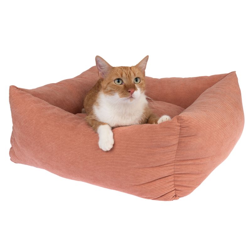 Modern Living Gaffney Cuddly Bed 60 x 60 x 22 cm (L x W x H)