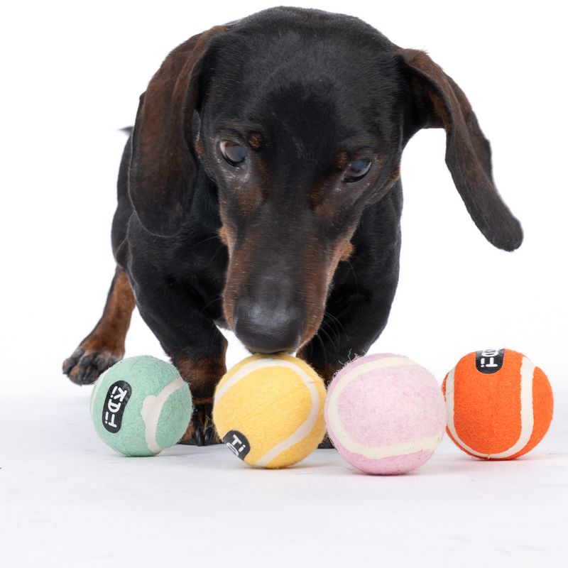 TIAKI Tennis Ball Set Set of 4 (approx. diameter 5cm)