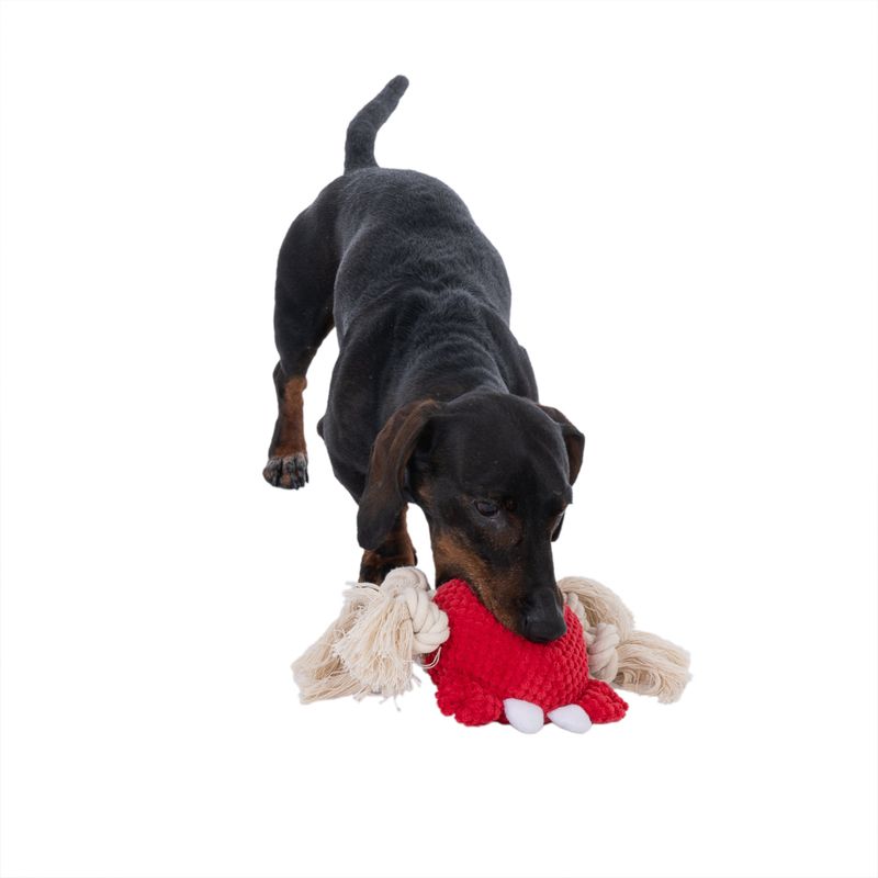 TIAKI Sebi Crab Dog Toy 1 Toy