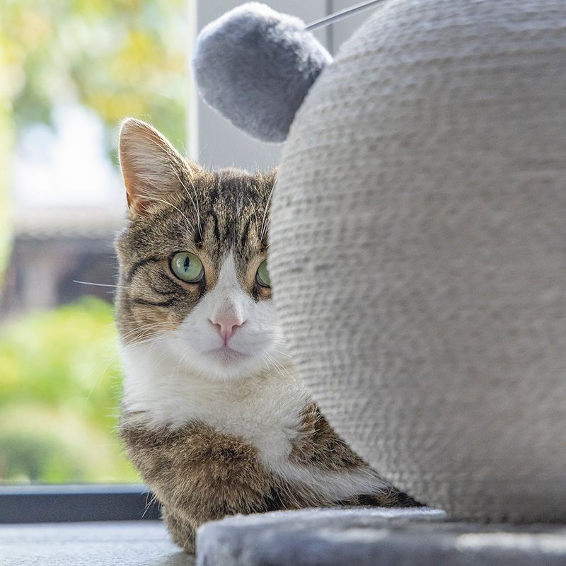 Karlie Bolly Scratching Ball 30.5 x 28cm