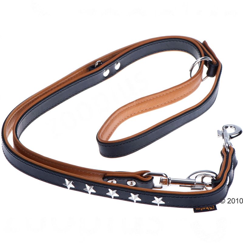 Heim Leather Lead & Collar Set - Stars Set 1