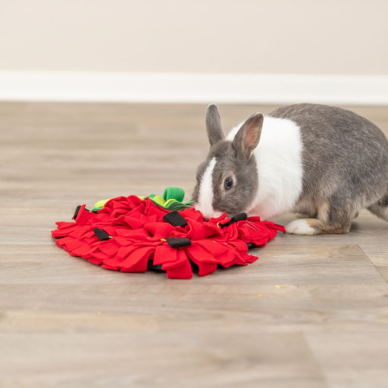 Trixie Strawberry Sniffer Rug 40 x 33cm (L x W)