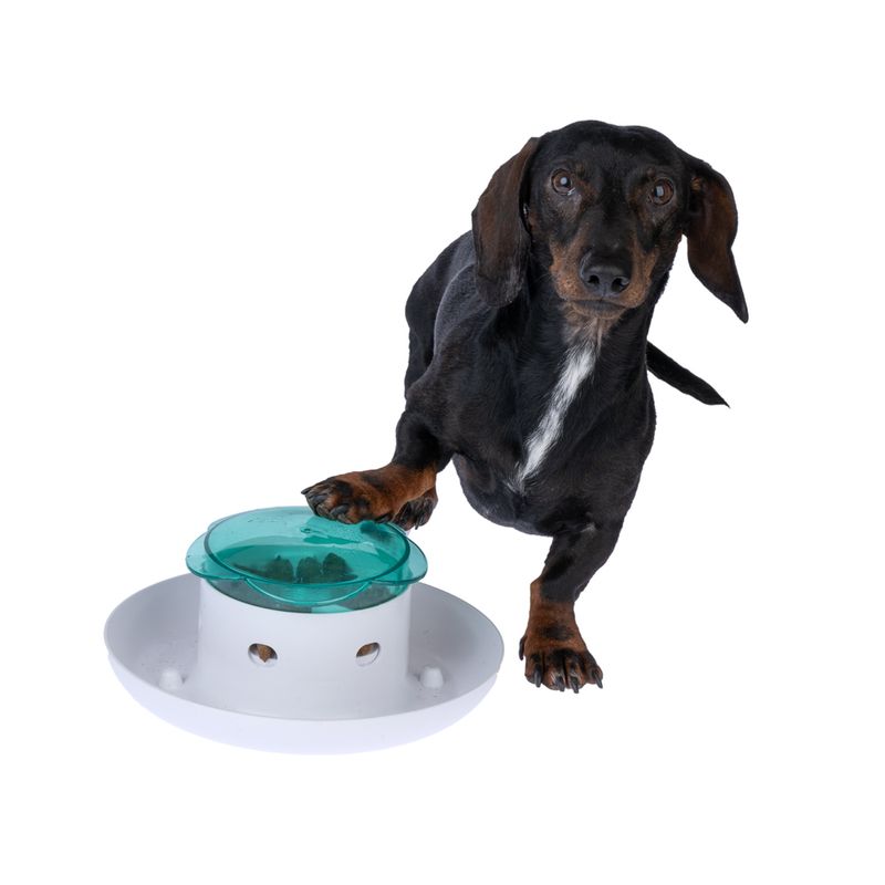 TIAKI Daisy Interactive Food Dispenser 1 Dispenser