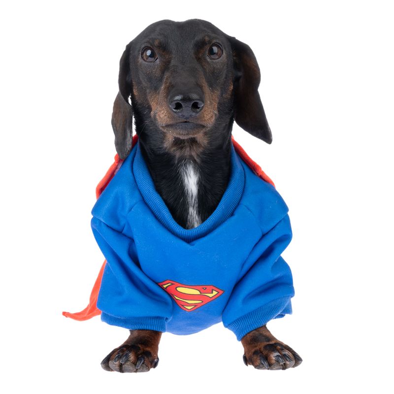 Warner Bros™ DC Superman Dog Costume Size S/M: 35cm Back Length
