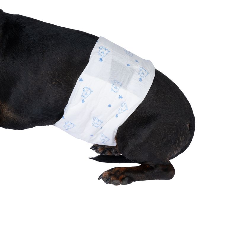 zooplus Basics Male Dog Nappies Size S: 32 - 44cm, 50 Nappies