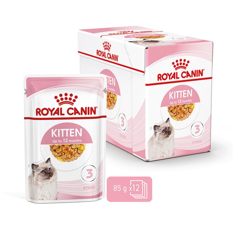 Royal Canin Kitten in Jelly 12 x 85g