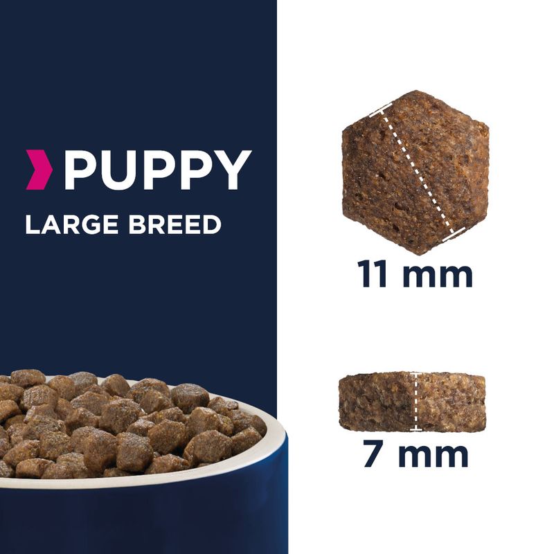 Eukanuba Puppy Large Breed Chicken 15kg