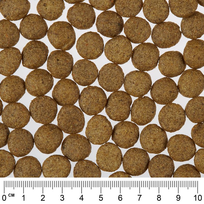 Greenwoods Economy Pack 2 x 12kg Turkey with Sweet Potatoes, Peas & Pumpkin