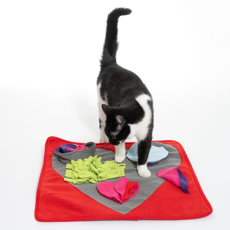 TIAKI Heart Sniffing Mat 50 x 50 cm (L x W)